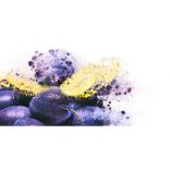 BUDAPEST PREMIUM PLUM Arpad