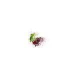 CHAMPION DOUBLE AGED PLUM Arpad