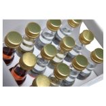 Mini Palinkas Party Box by Bolyhos