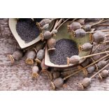 Poppy Liqueur brandy