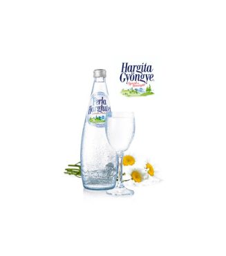 Hargita 0.75L Sparkling Mineral Water Box