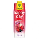 Fruit Juice Immune Iron by Rauch 1L