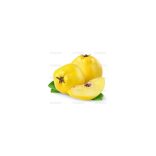 Quince Premium Gold 50 Palinka by Marton es Lanyai