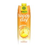Immune Plus Mixed Fruit Juice by Rauch 1L